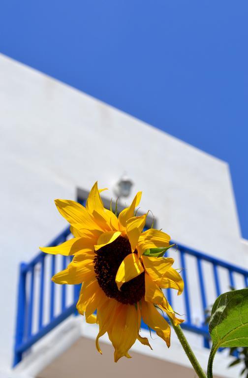 Hotel Bilia Naoussa Exterior foto